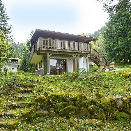 Le Schwarzwald - A Proximite Des Stations De Ski La Bresse Eksteriør billede